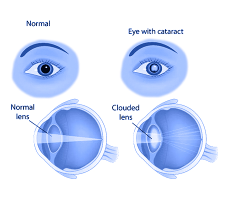 Serivce Image